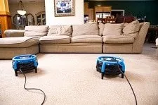 cleaning machines on a carpet